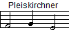 Pleiskirchner 